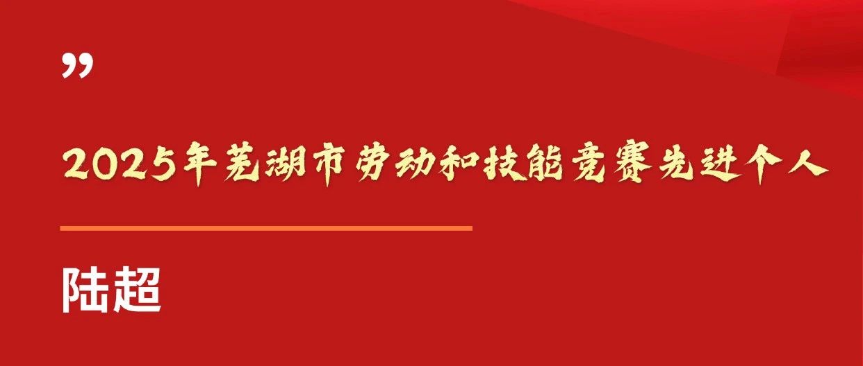 【致敬光荣劳动者③】2025年芜湖市劳动和技能竞赛先进个人陆超风采展示